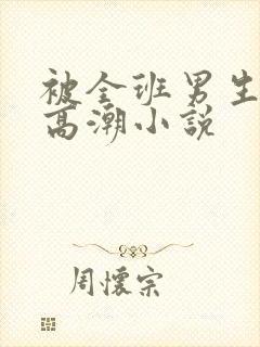 被全班男生操到高潮小说封面