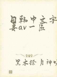 日韩中文字幕人妻av一区