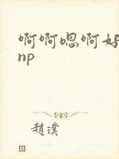 啊啊嗯啊好舒服np