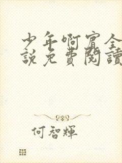 少年啊宾全文小说免费阅读笔趣阁