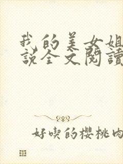 我的美女姐姐小说全文阅读