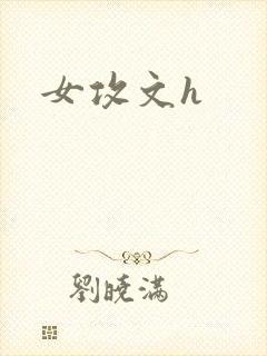 女攻文h封面