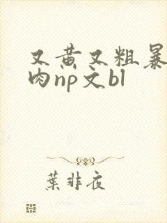 又黄又粗暴的纯肉np文bl