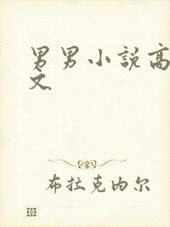 男男小说高干h文