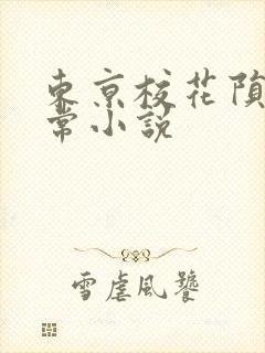 东京校花陨落日常小说封面