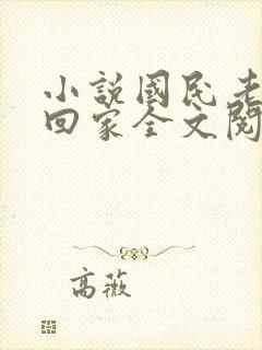 小说国民老公带回家全文阅读