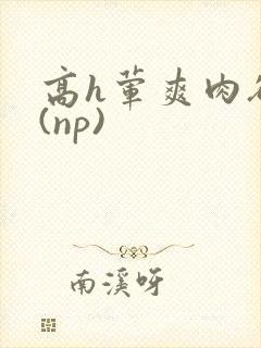 高h荤爽肉欲文(np)