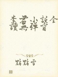 李君小说全文阅读无弹窗