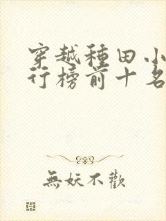 穿越种田小说排行榜前十名完结篇