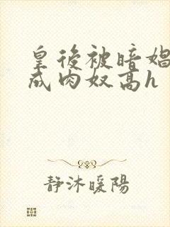 皇后被暗娼调教成肉奴高h