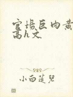 官场巨肉黄暴辣高h文