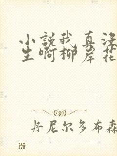 小说我真没想重生啊柳岸花又明目录封面