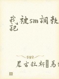 我被sm调教日记