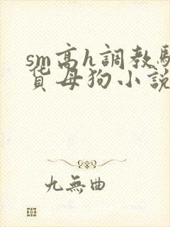 sm高h调教骚货母狗小说