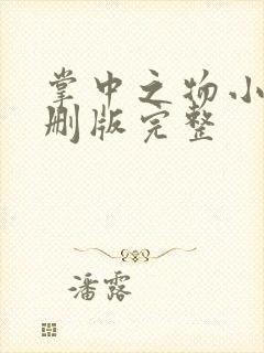 掌中之物小说未删版完整