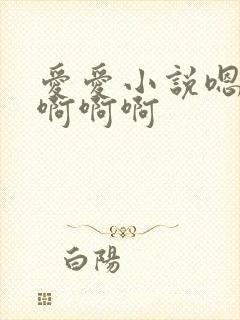 爱爱小说嗯嗯啊啊啊啊