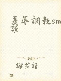 羞辱调教sm小说封面