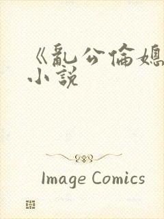 《乱公伦媳》的小说