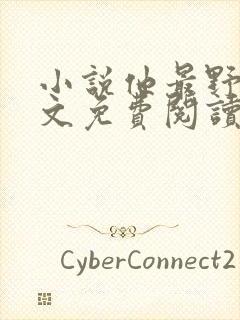 小说他最野了全文免费阅读