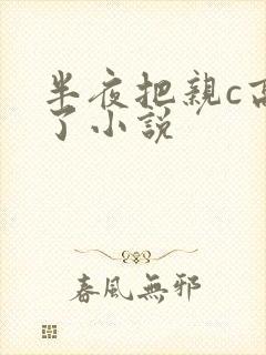 半夜把亲c高潮了小说封面