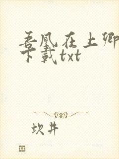 吾凰在上卿在下下载txt封面