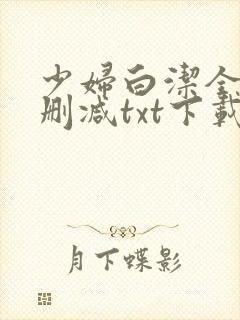 少妇白洁全文无删减txt下载