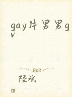 gay片男男gv