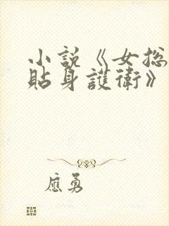 小说《女总裁的贴身护卫》