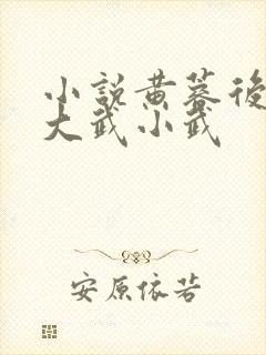 小说黄蓉后传之大武小武