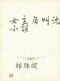 女主角叫沈o的小说