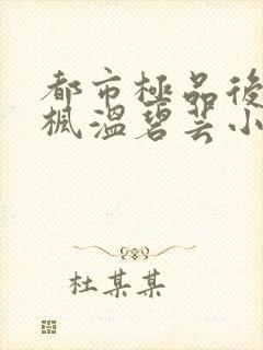 都市极品后宫唐枫温碧芸小说