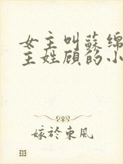 女主叫苏绵绵男主姓顾的小说