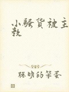 小骚货被主人调教