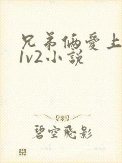 兄弟俩爱上女主1v2小说