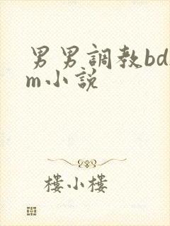 男男调教bdsm小说