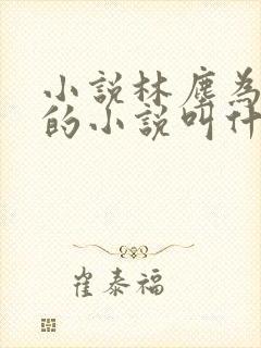 小说林尘为主角的小说叫什么名字