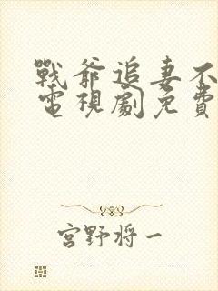 战爷追妻不能停电视剧免费观看高清