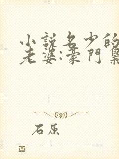 小说名少的神秘老婆:豪门枭宠aa制