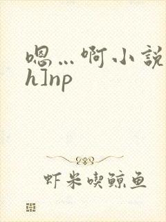 嗯…啊小说[高h]np