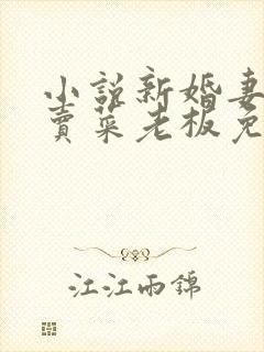 小说新婚妻子与卖菜老板免费阅读