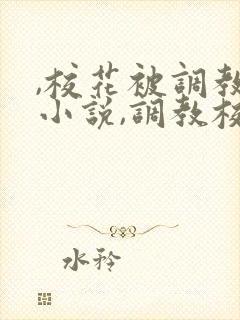 ,校花被调教h小说,调教校花为奴