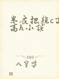 半夜把亲c高潮高h小说