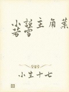 小说主角叶凡唐若雪