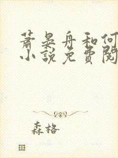 萧晏舟和何夕的小说免费阅读全文