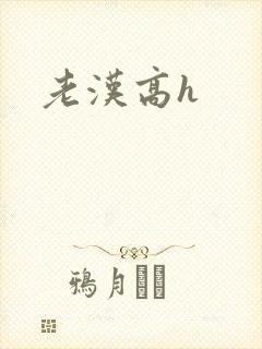 老汉高h