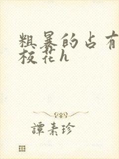 粗暴的占有清纯校花h