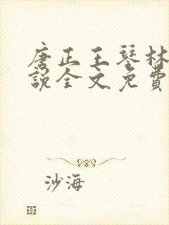 唐正王琴林媛小说全文免费阅读封面