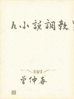 h小说调教男男封面