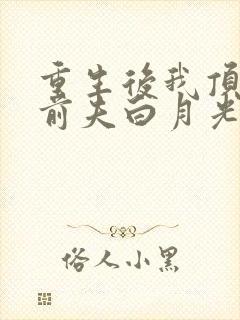 重生后我顶替了前夫白月光在线听电子书