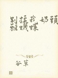 别揉我奶头嗯啊雅蠛蝶